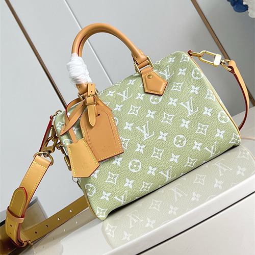 루이비통 스피디 P9 반둘리에 25 모노그램 M14063 2025/신상