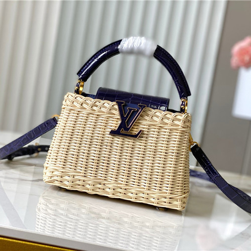 루이비통 카푸신 미니 M48865 2025/신상