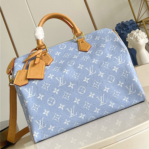 루이비통 스피디 P9 반둘리에 40 N88228 2025/신상