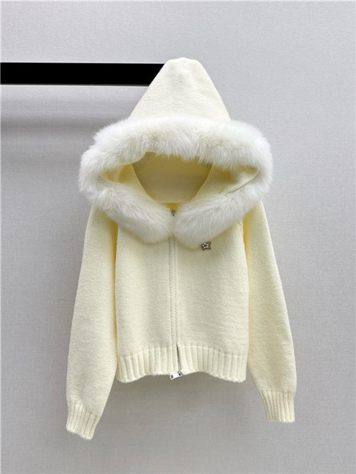 샤넬 후드 자켓 C73204 2025/신상