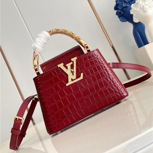 루이비통 카퓌신 미니 M14177 2026/신상