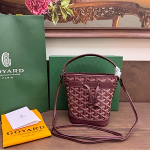 고야드 쁘띠플로 미니 숄더백 GY51551-5 2026/신상